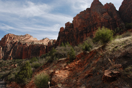 Zion N.P.
