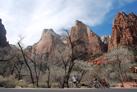 Biking in Zion
